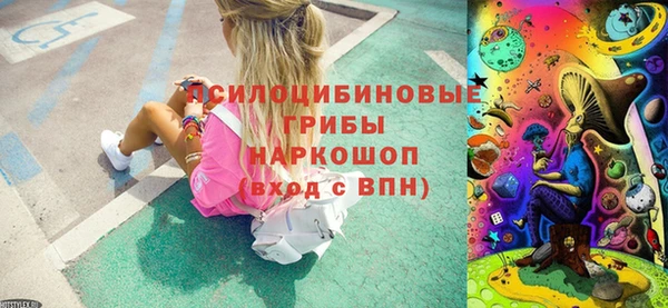 мдпв Белая Холуница