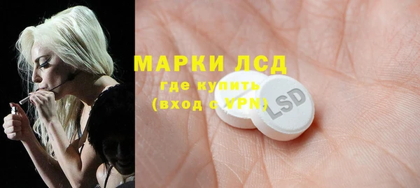 ПСИЛОЦИБИНОВЫЕ ГРИБЫ Бежецк