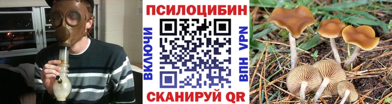 Галлюциногенные грибы GOLDEN TEACHER мориарти телеграм Заозёрск